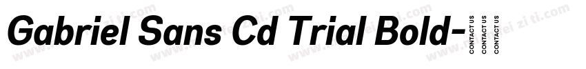 Gabriel Sans Cd Trial Bold字体转换